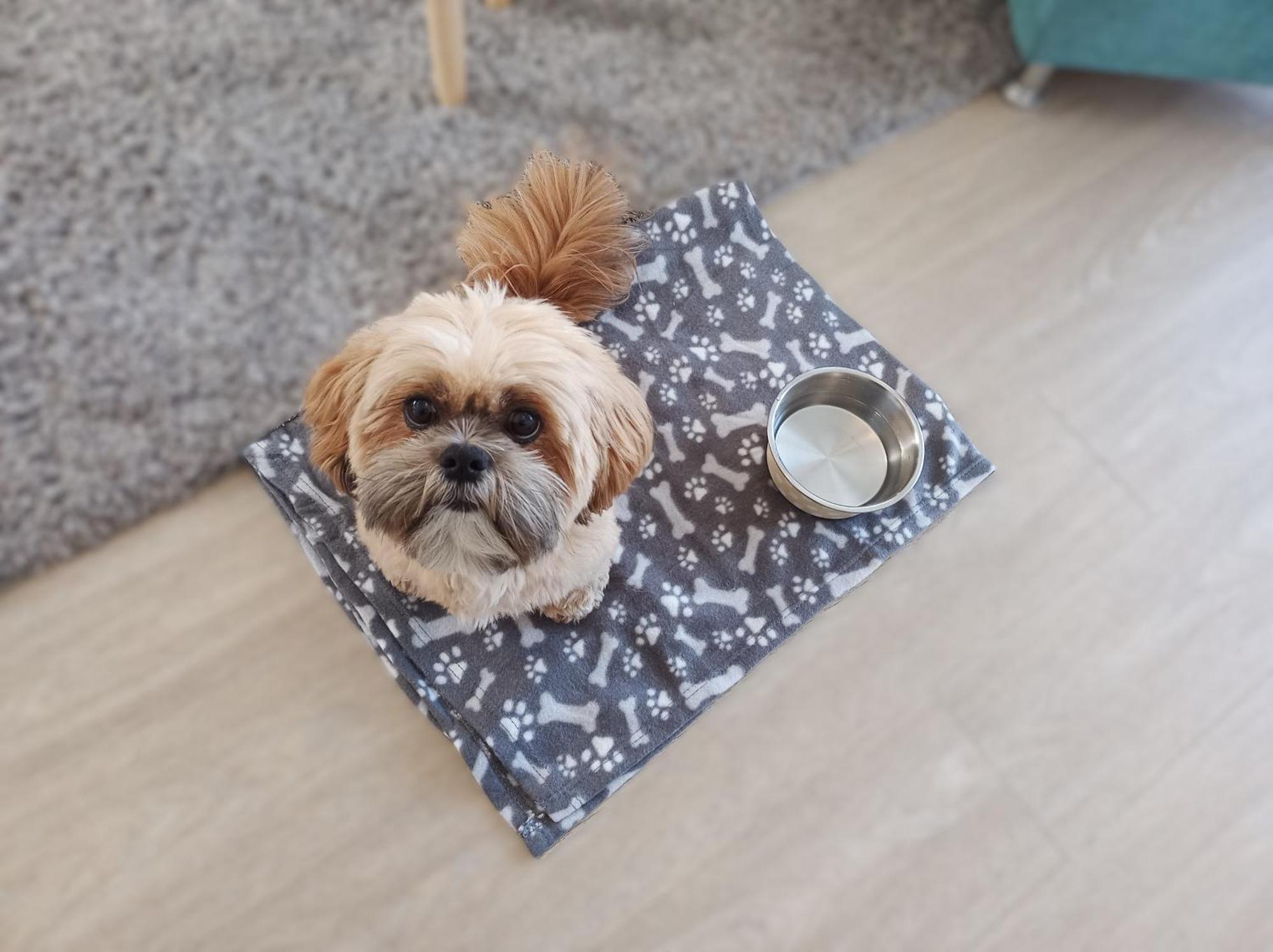 Meeresstrand - Chic & Renoviert! Breege Ngoại thất bức ảnh